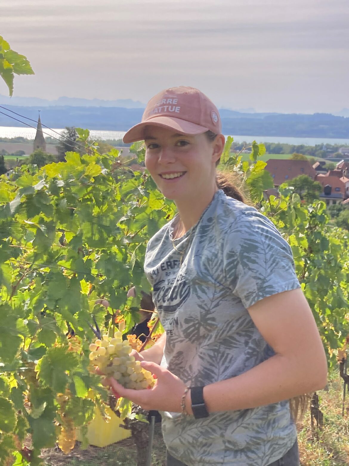 Vendanges “Jus, set et grappe” 2026